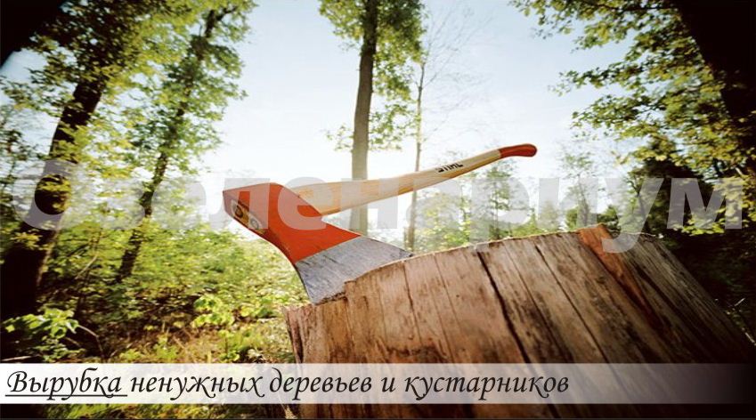 вырубка ненужных деревьев