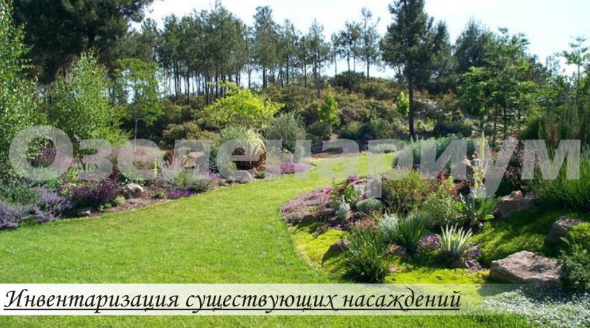 инвентаризацию существующих зеленых насаждений, где учитываются их количество, породный и сортовой состав, тип посадки и т.д.